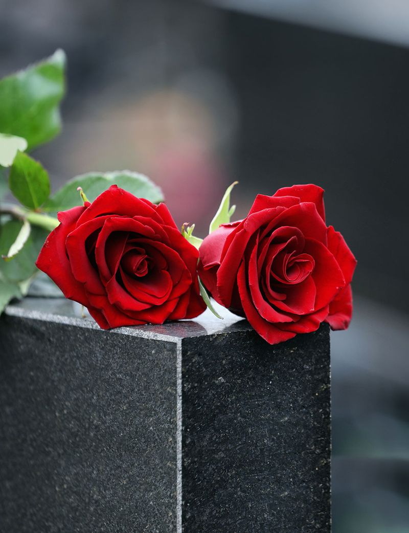 Zwei rote Rosen auf einem Stein